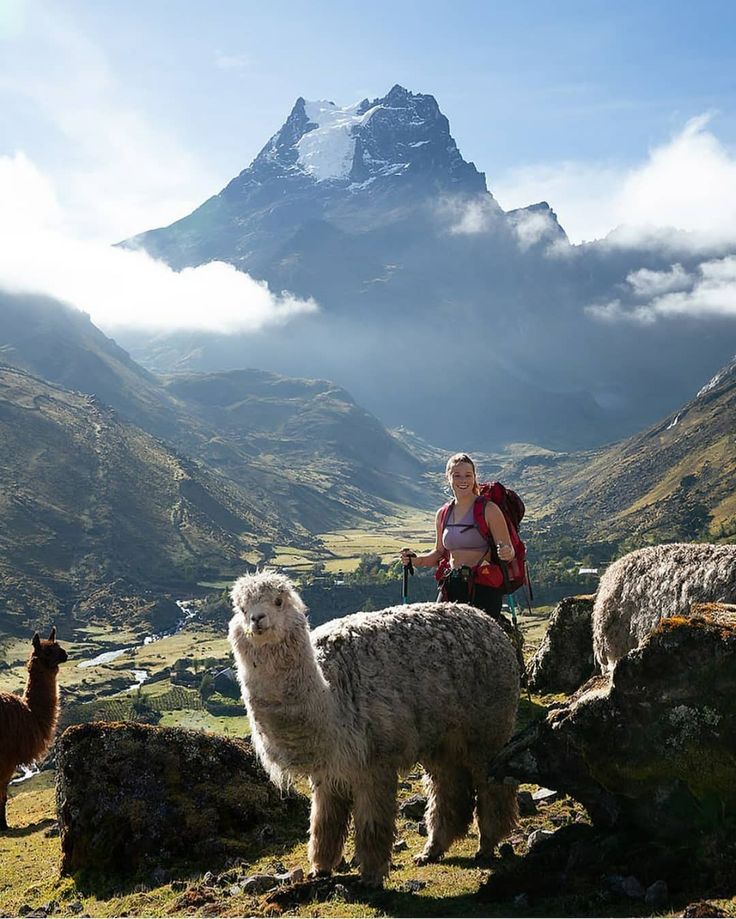 Home 67542c9afc0864c8e11cbda7557f6889 (1)